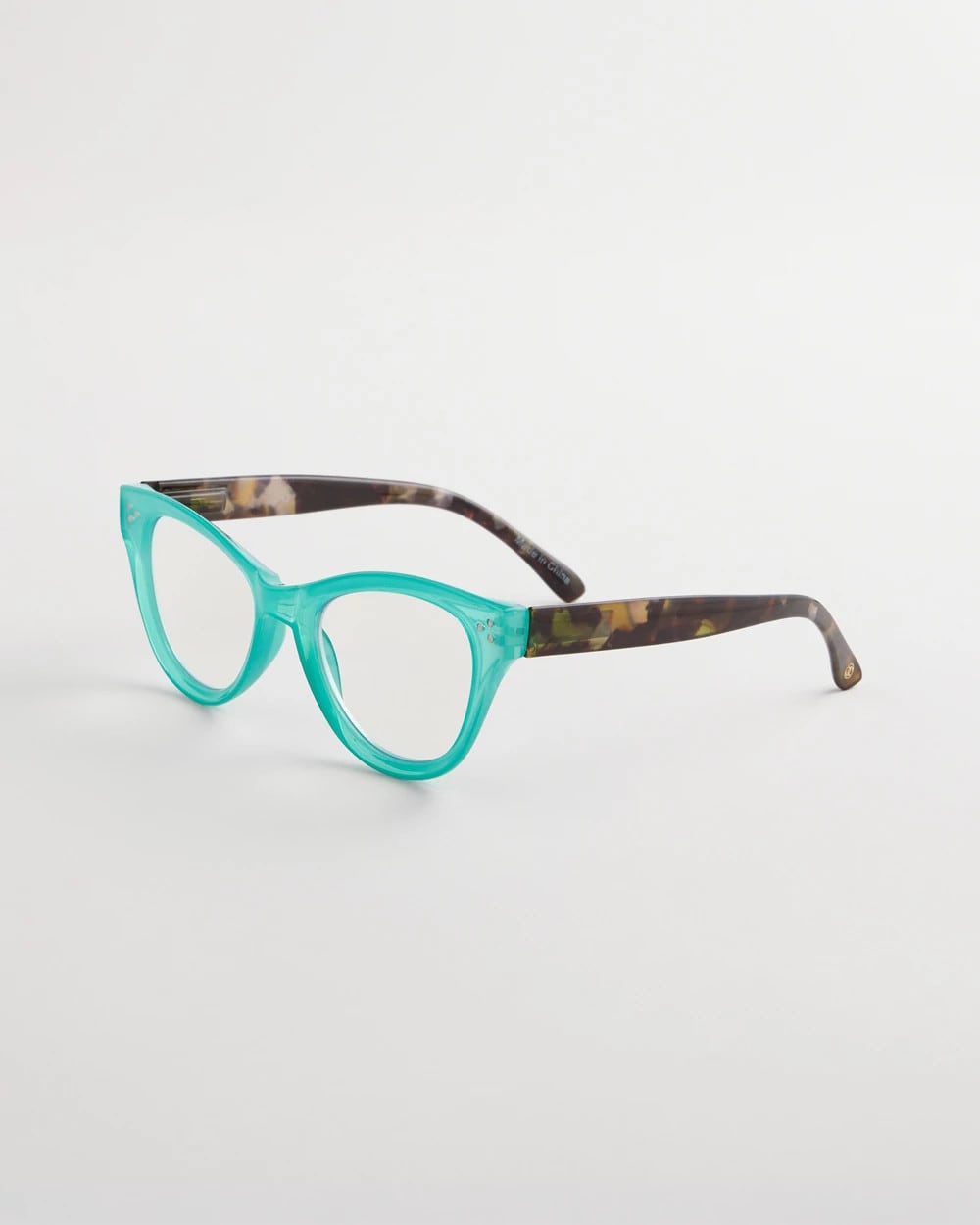 Chico's Teal Tortoise Readers
